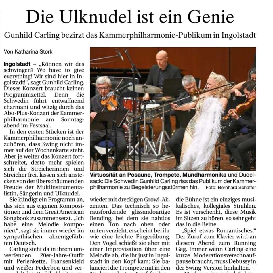 THE JOKER IS A GENIUS — REVIEW IN DONAU-KURIER